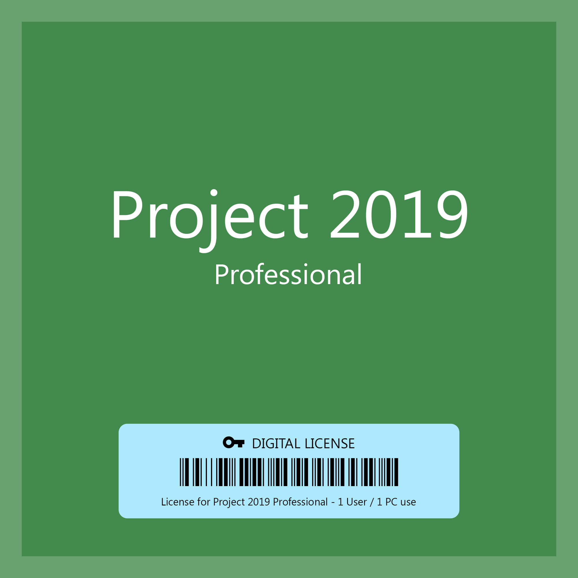 Project 2019 Pro